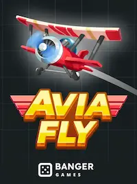Avia Fly crash at Q63 COM